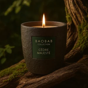 Cèdre majesté Jagolipette Bougie baobab