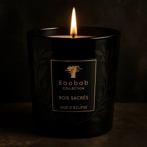 Oud d'éclipse Jagolipette Bougie baobab
