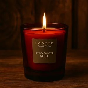 Palo santo brule Jagolipette Bougie baobab